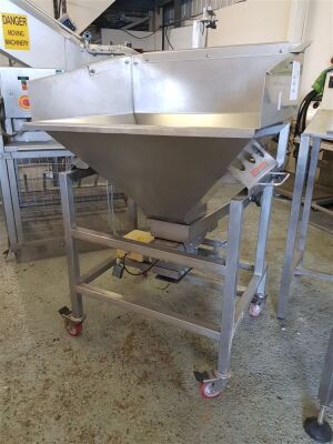 Podmores Stainless Steel Vibratory Conveyor & Hopper