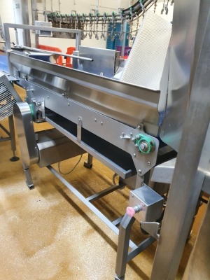 Stainless Steel Outfeed Conveyor, Belt Width 600mm,