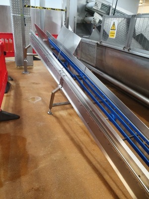 Wrightfield Stainless Steel Elevating Conveyor with 90 Degree Bend, Belt Width 360mm - 2