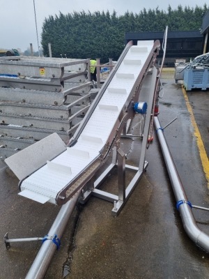 Stainless Steel Elevated Conveyor