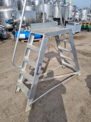 Aluminium 5 Step Crossover Gantry - 3