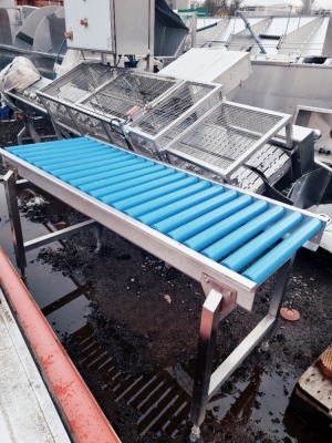 Stainless Steel and Plastic Roller Outfeed Conveyor