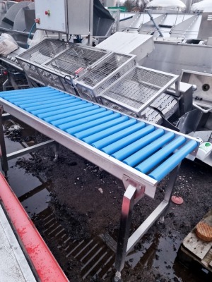 Stainless Steel and Plastic Roller Outfeed Conveyor - 2