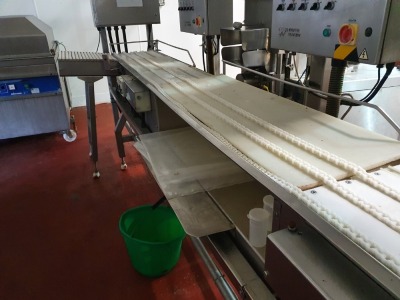 Stainless Steel and Plastic Chain Cheese Block Out feed Conveyor - 2