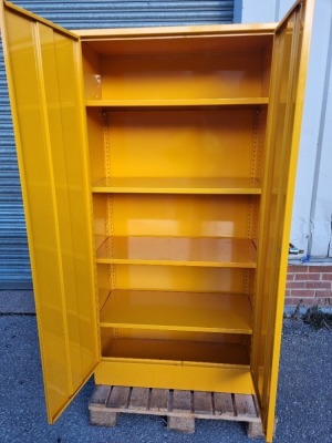 Steel Twin Door Flammable Liquid Store/Cupboard