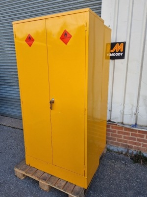 Steel Twin Door Flammable Liquid Store/Cupboard