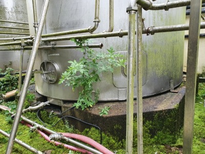 Stainless Steel 80,000 Litre Vertical Cylindrical Single Skin Silo - 6700mm x 3810mm Diameter - 2