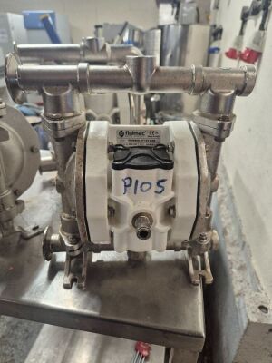 2021 Fluimac PF0060-HTTST3-AB Air Operated Diaphragm Pump