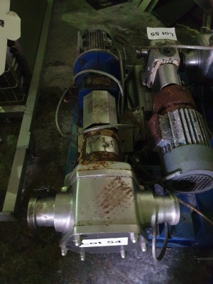 Universal Stainless 3" Positive Pump